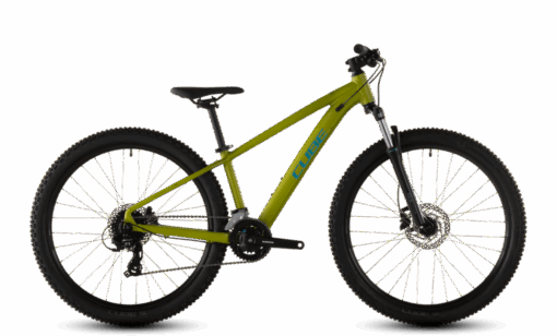 Cube Acid 260 Disc lizard´n´blue