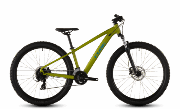 Cube Acid 260 Disc lizard´n´blue