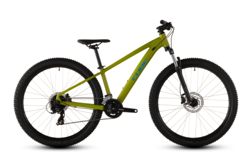 Cube Acid 260 Disc lizard´n´blue