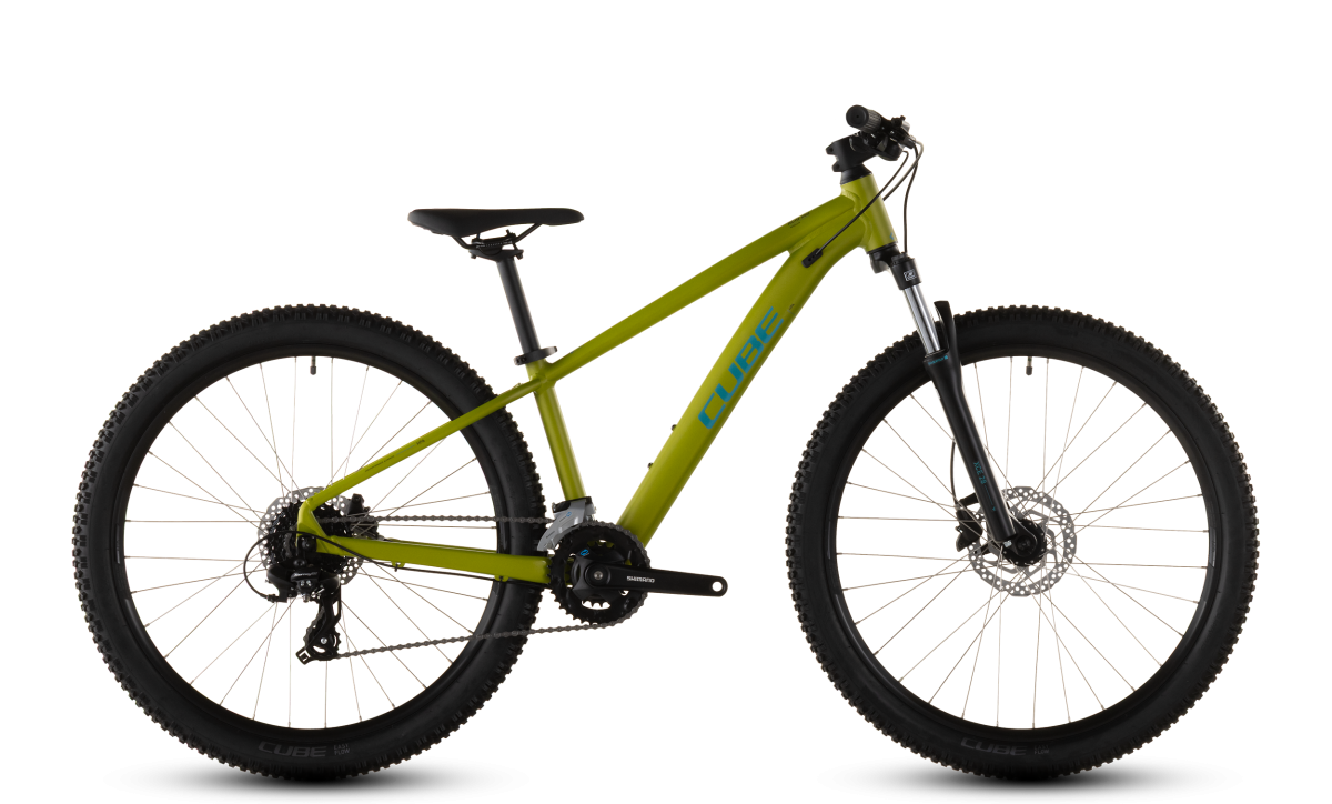 Cube Acid 260 Disc lizard´n´blue
